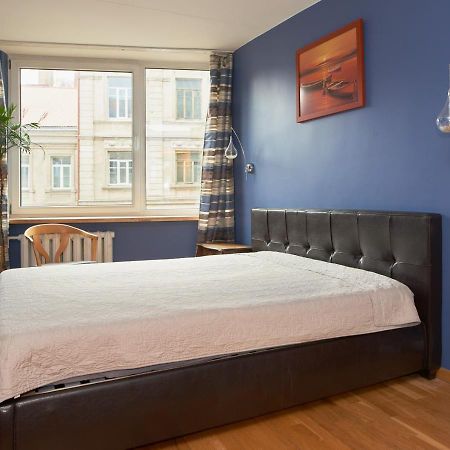 Spacious Central Apartments 维尔纽斯 外观 照片
